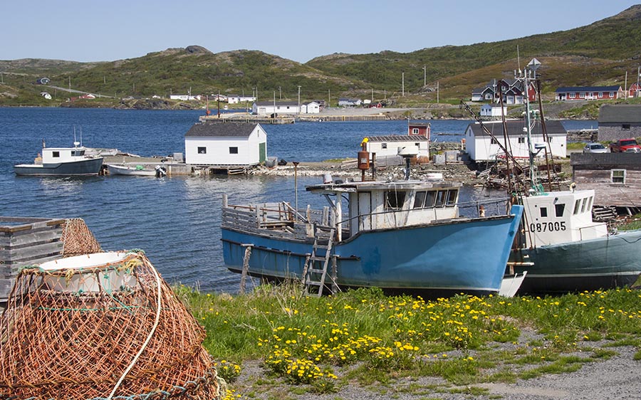 Goose Cove Harbour